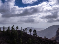Gran Canaria
